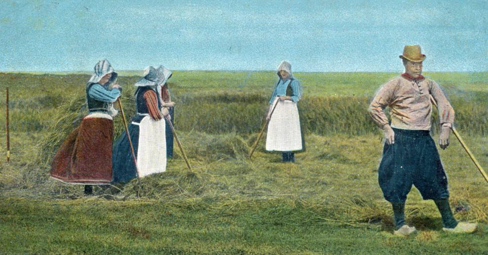 hooitijd marken 1