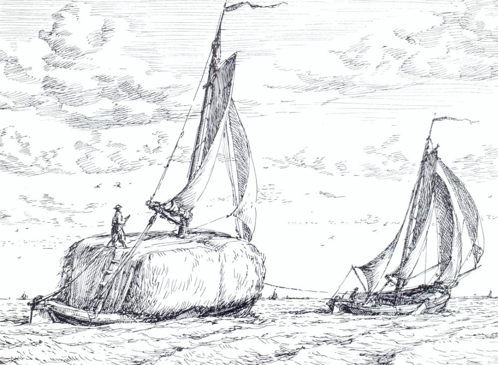 hooitijd marken 11