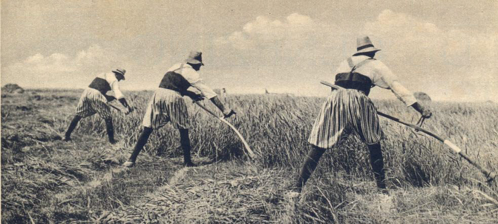 hooitijd marken 3