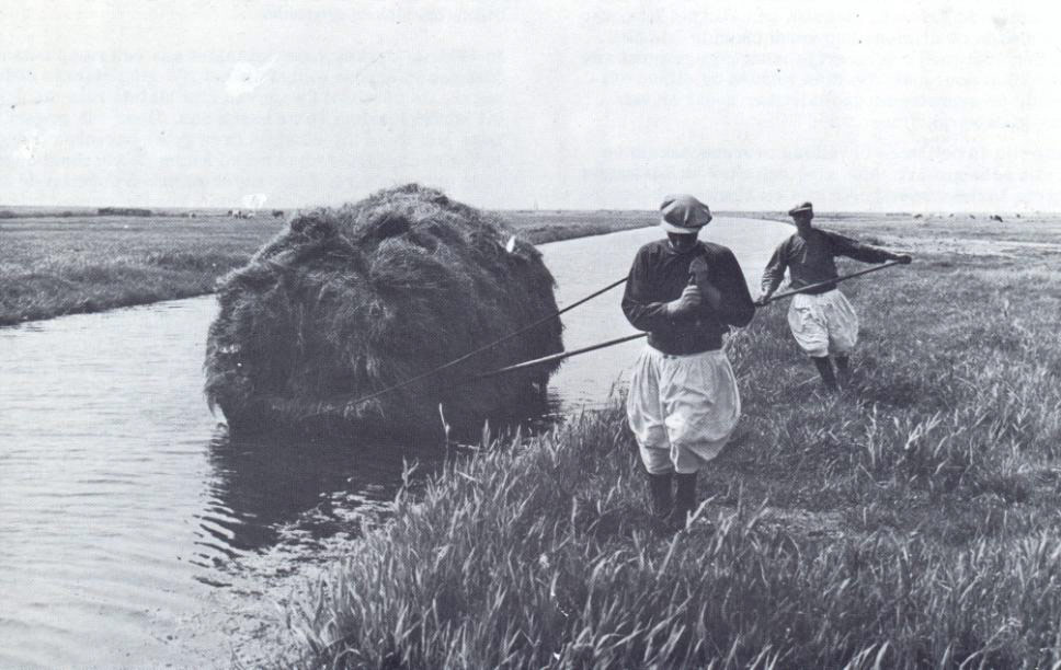 hooitijd marken 9